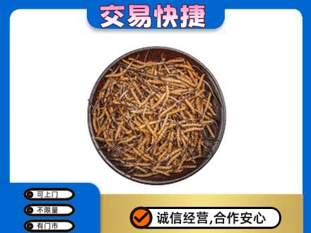 五家渠高价回收散虫草